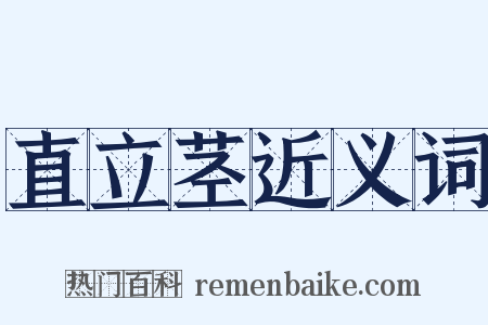 直立茎近义词是什么意思的图片